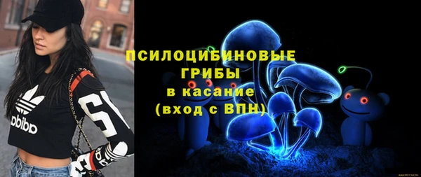 apvp Алексин