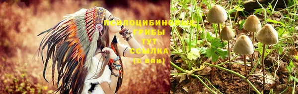 apvp Алексин
