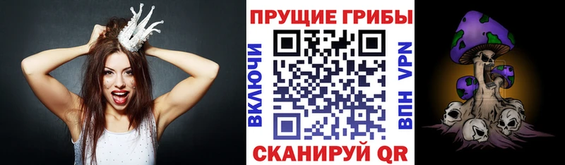 Псилоцибиновые грибы Psilocybine cubensis  MEGA tor  Карабулак 